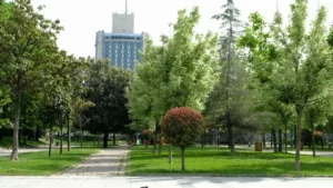 Mengenal Lebih Dekat Keindahan Taman Gezi di Turki