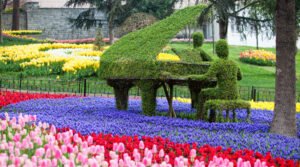 Mengungkap Keindahan Taman Emirgan di Turki