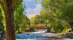 Menyelami Keindahan Taman Nasional Munzur di Turki